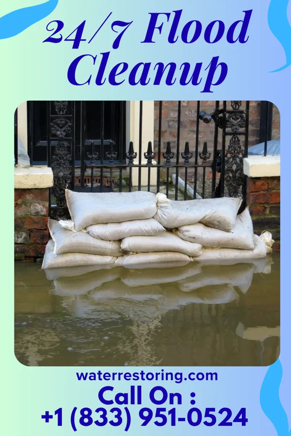 24/7 Flood Cleanup in Elyria, OH