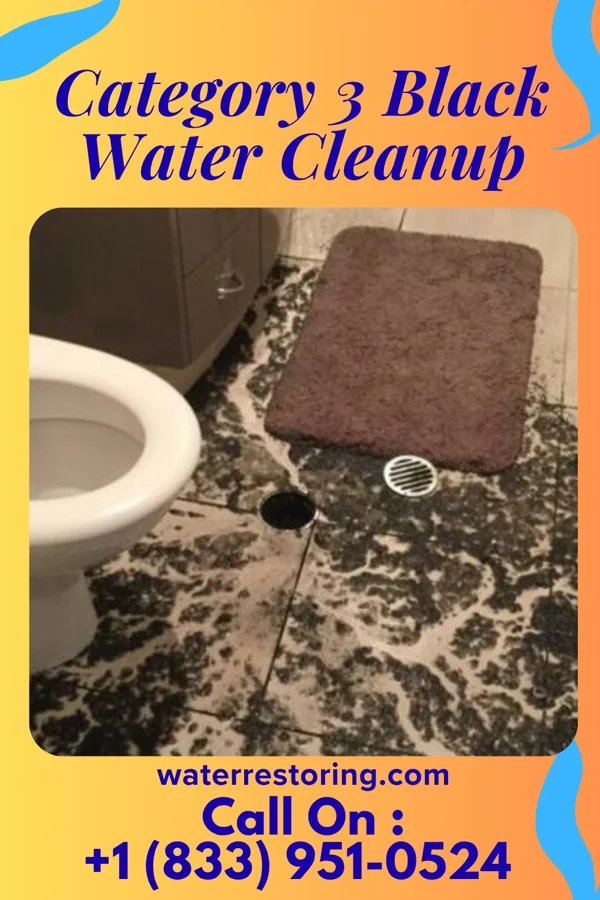 Category 3 Black Water Cleanup in Elyria, OH