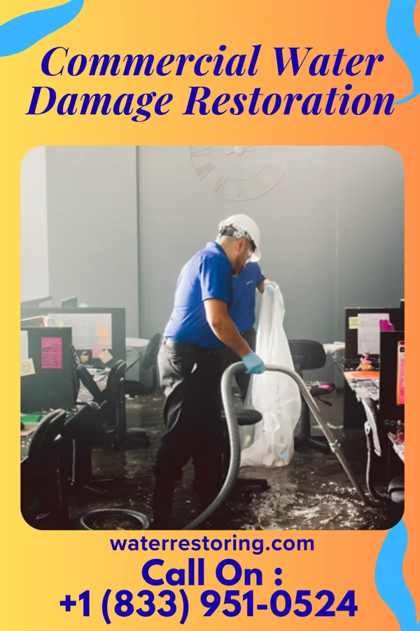Commercial Water Damage Restoration in Elyria, OH