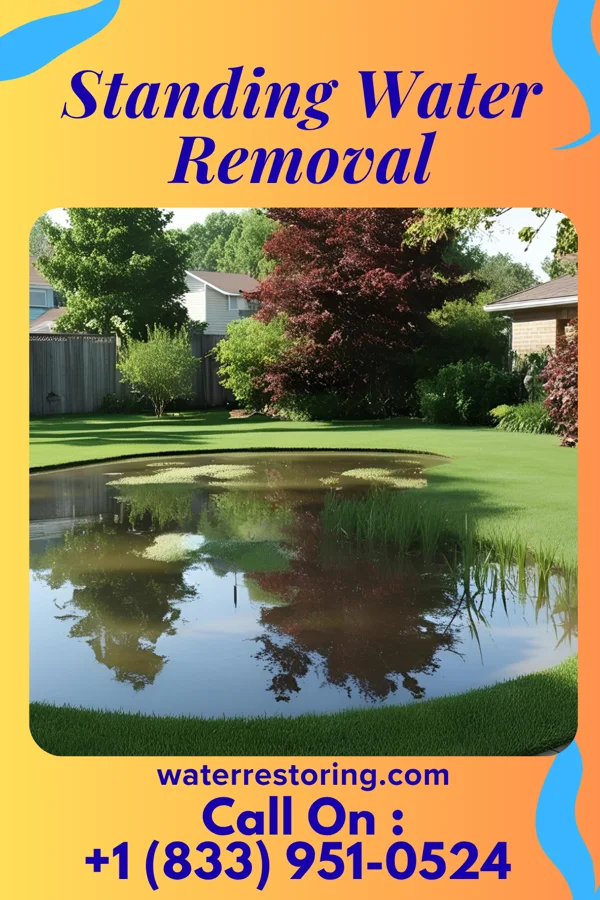 Standing Water Removal in Elyria, OH
